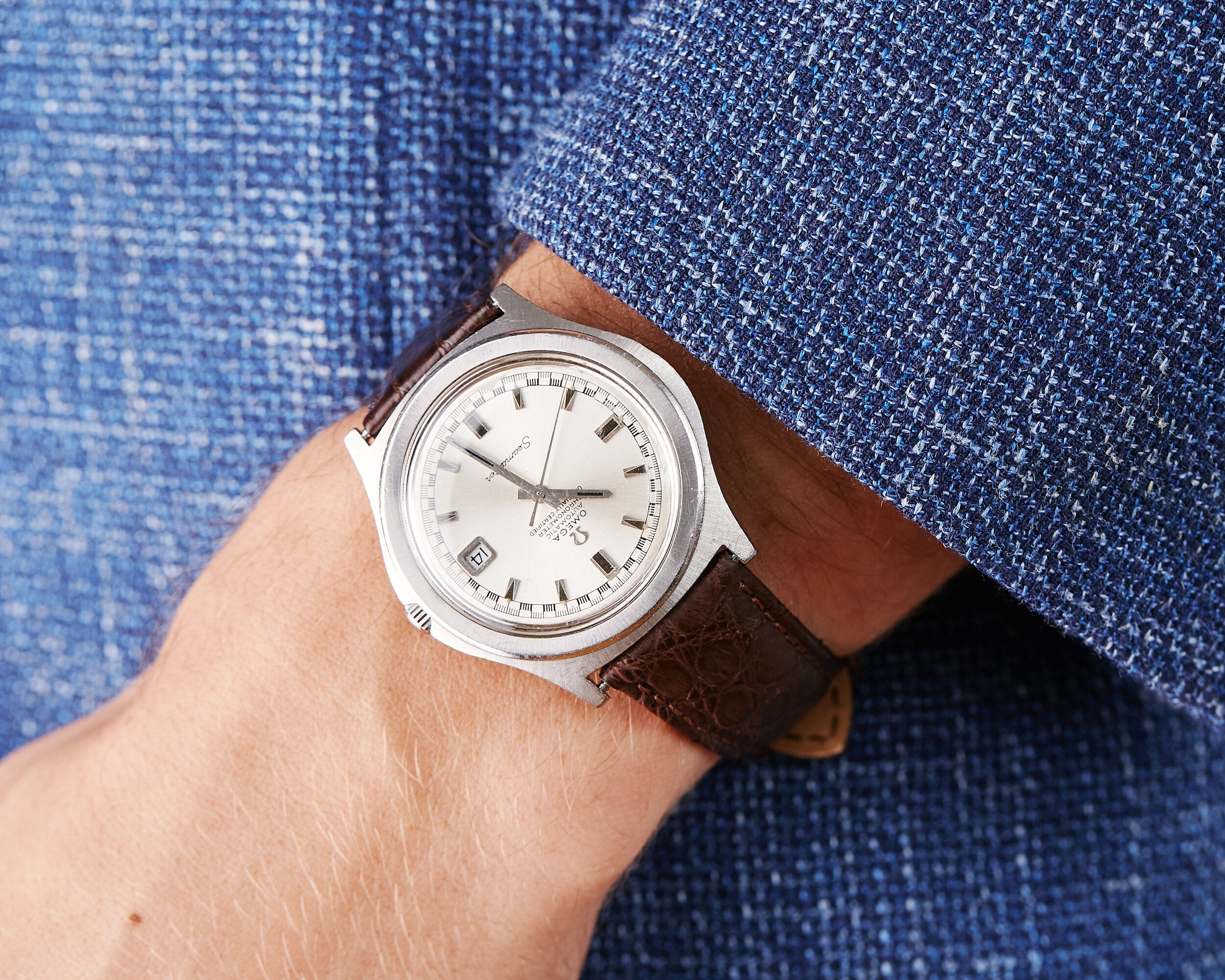 Dark Brown Crocodile